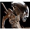 Image 5 : Lot #41 - ALIEN: RESURRECTION (1997) - Xenomorph Alien Display with Tail