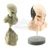 Image 2 : Lot #46 - AVP: ALIEN VS PREDATOR (2004) - Pair of Predator Maquettes