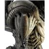 Image 10 : Lot #56 - ALIENS VS. PREDATOR: REQUIEM (2007) - Full-Size Predalien (Tom Woodruff, Jr.) Costume Disp