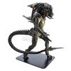 Image 5 : Lot #56 - ALIENS VS. PREDATOR: REQUIEM (2007) - Full-Size Predalien (Tom Woodruff, Jr.) Costume Disp