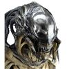 Image 8 : Lot #56 - ALIENS VS. PREDATOR: REQUIEM (2007) - Full-Size Predalien (Tom Woodruff, Jr.) Costume Disp