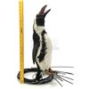 Image 11 : Lot #109 - BATMAN RETURNS (1992) - Animatronic Penguin