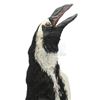 Image 7 : Lot #109 - BATMAN RETURNS (1992) - Animatronic Penguin