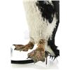 Image 8 : Lot #109 - BATMAN RETURNS (1992) - Animatronic Penguin