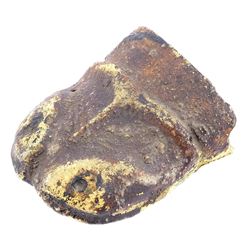 Lot #136 - BLACK SCORPION, THE (1957) - Phil Tippett Collection: Black Scorpion Head