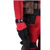 Image 6 : Lot #193 - DEADPOOL (2016) - Promotional Touring Deadpool Costume