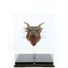 Image 2 : Lot #215 - DRAGONHEART (1996) - Phil Tippett Collection: Draco (Sean Connery) Head Maquette