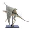 Image 5 : Lot #236 - EVOLUTION (2001) - Phil Tippett Collection: Dragon Maquette Display with Wings