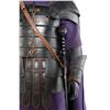 Image 7 : Lot #294 - GLADIATOR (2000) - Praetorian Guard Costume with Sword, Spear, and Shield
