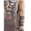 Image 6 : Lot #335 - HERCULES (2014) - Hercules (Dwayne Johnson) Costume Display