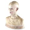 Image 12 : Lot #352 - I AM LEGEND (UNPRODUCED, RIDLEY SCOTT) - Set of Three Makeup Test Heads