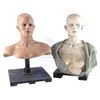 Image 1 : Lot #353 - I AM LEGEND (UNPRODUCED, RIDLEY SCOTT) - Pair of Makeup Test Heads