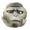 Image 1 : Lot #365 - INDIANA JONES AND THE TEMPLE OF DOOM (1984) - Chilled Monkey Brain Head
