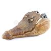 Image 4 : Lot #417 - JUMANJI (1995) - Animatronic Crocodile Head and Forefeet