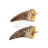 Image 3 : Lot #422 - JURASSIC PARK (1993) - Pair of Tyrannosaurus Rex Claws