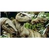 Image 22 : Lot #425 - JURASSIC PARK (1993) - Phil Tippett Collection: Pair of Video Animatics Velociraptor Stop
