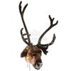 Image 4 : Lot #574 - SANTA CLAUSE 2, THE (2002) - Pair of Reindeer Heads With Antlers