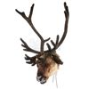 Image 5 : Lot #574 - SANTA CLAUSE 2, THE (2002) - Pair of Reindeer Heads With Antlers