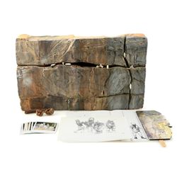 Lot #661 - STAR WARS: ATTACK OF THE CLONES (2002) - Geonosis Arena Mock Up, Concept Art, and Product