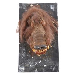 Lot #743 - CARAVAN OF COURAGE: AN EWOK ADVENTURE (1984) - Phil Tippett Collection: Boar-Wolf Head Ma