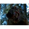 Image 7 : Lot #743 - CARAVAN OF COURAGE: AN EWOK ADVENTURE (1984) - Phil Tippett Collection: Boar-Wolf Head Ma