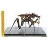Image 10 : Lot #760 - STARSHIP TROOPERS (1997) - Phil Tippett Collection: Warrior Bug Maquette