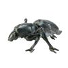 Image 3 : Lot #765 - STARSHIP TROOPERS (1997) - Phil Tippett Collection: Tanker Bug Maquette