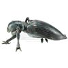 Image 4 : Lot #765 - STARSHIP TROOPERS (1997) - Phil Tippett Collection: Tanker Bug Maquette