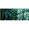 Image 6 : Lot #831 - TWILIGHT (2008) - Edward's (Robert Pattinson) Tree Climbing Costume