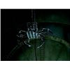Image 10 : Lot #860 - WILD WILD WEST, THE (1999) - Music Video Mechanical Spider