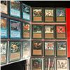 Image 4 : 260+ MAGIC THE GATHERING CARDS