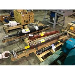 PAIR OF ROYAL  HYDRAULIC CYLINDERS, PAIR OF 8" X 46" RUBBER CONVEYOR ROLLERS & HEAVY DUTY DRIVE