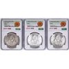 Image 1 : Lot of 1977Mo-1979Mo Mexico 100 Pesos Silver Coins NGC MS64