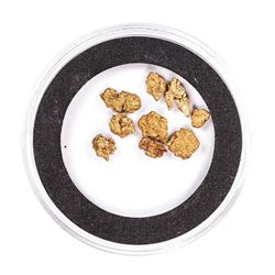 Lot of Gold Nuggets 2.82 Grams Gold Weight