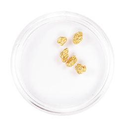 Lot of Gold Nuggets 2.10 Grams Gold Weight