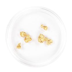 Lot of Gold Nuggets 2.48 Grams Gold Weight