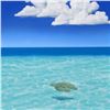 Image 2 : Dan Mackin, "Smooth Water" Framed Original Oil Painting on Canvas Hand Signed with Letter of Authent