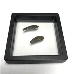 Pair of Ancient Greek Dolphin Bronze Coins, Artifacts, 6th - 5thc B.C.