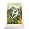 Image 3 : Lily Of The Valley, 1926 The Nature Library, Color Illustration, Lithograph Print