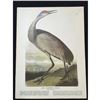 Image 2 : c1946 Audubon Print, #261 Sandhill Crane