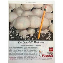 1950's Campbell's Mushroom Soup Magazine Advertisement, Kitchen/Restaurant Decor