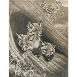 Vintage c1920â€™s Half-tone Print, #1062 Little Foxes