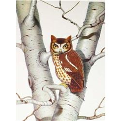 1950 Menaboni Print, Screech Owl