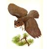 Image 1 : 1950 Menaboni Print, Great Horned Owl