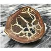 Image 3 : Large Natural Moroccan Dragon's Stone Septarian Nodule Display Specimen