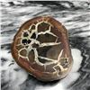 Image 4 : Large Natural Moroccan Dragon's Stone Septarian Nodule Display Specimen