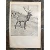 Image 1 : Early 1900's Half-tone Hunting Lodge Print, The Monarch, A. B. Frost, Elk