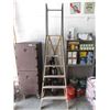 Image 1 : Industrial Warehouse Ladder