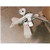 Image 1 : Nadair Fan
