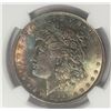 Image 2 : 1889-P Morgan Silver Dollar $ NGC MS 64 Beautifull